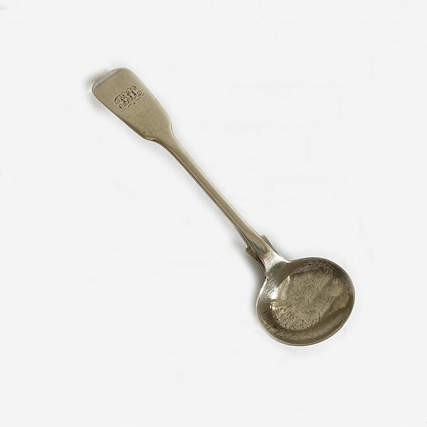 william the fourth salt spoon in silver 1833